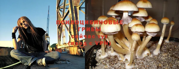 дмт Волоколамск