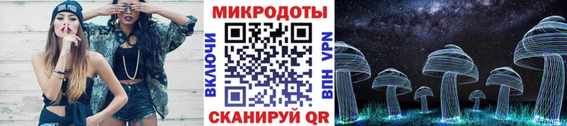Псилоцибиновые грибы Psilocybine cubensis  цена   Гвардейск 